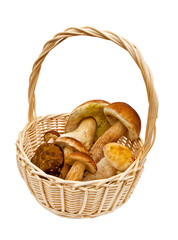 Small basket with mushrooms
