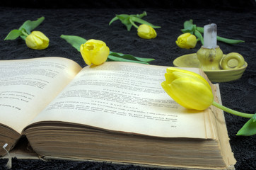 Background with tulips old book