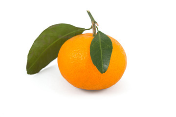 Frash tangerine on stem