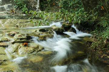 Tropical waterfall in rain forest