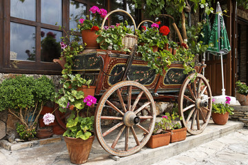 Ox Cart with Flowers in Veliko Tarnovo Bulgaria