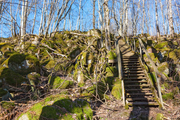 Path stairs in the woods