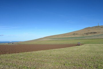 Obraz premium agriculture