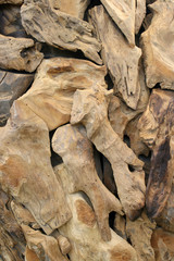 Pieces of ornamental dried wood