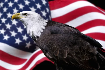 Papier Peint photo Aigle Aigle américain avec drapeau