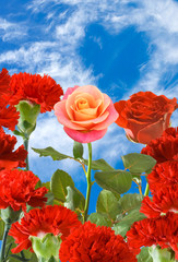 image of flowers on  sky  background