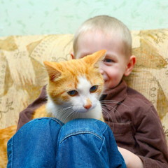 Smiling boy sitting on the couch with a red cat