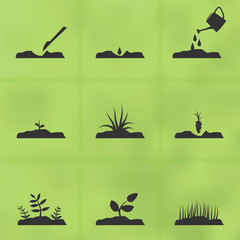 Icon set stages of how to grow a plant from seeds.