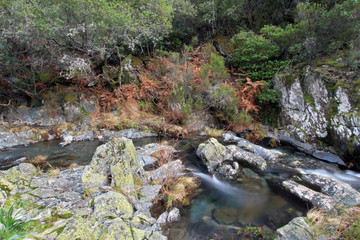 Arroyo de Aralpino, Sauceda, hurdes, España