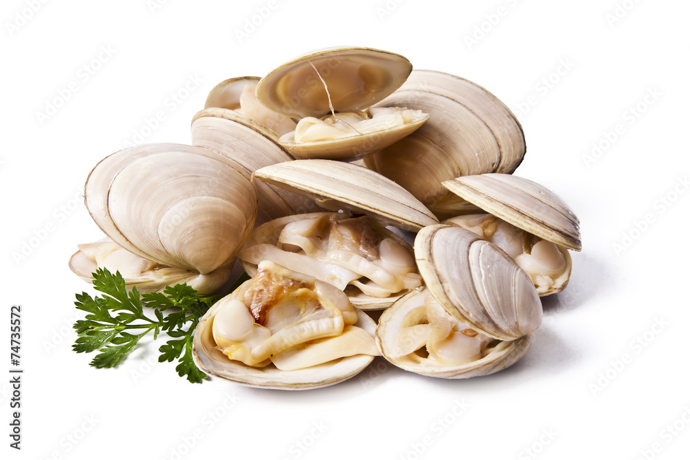 Wall mural clams isolated on white background - Wall murals