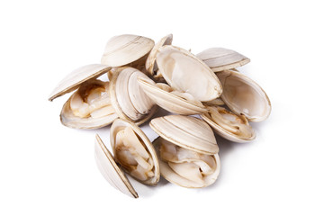 clams isolated on white background