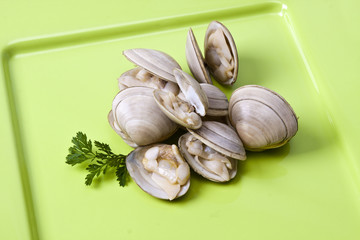 natural clam