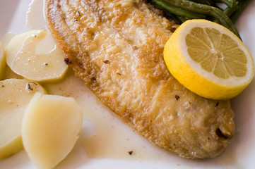 Grilled sole