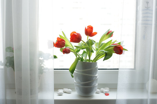 Букет красных тюльпанов на окне