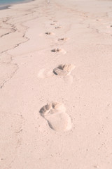 Footsteps in the sand on the beach