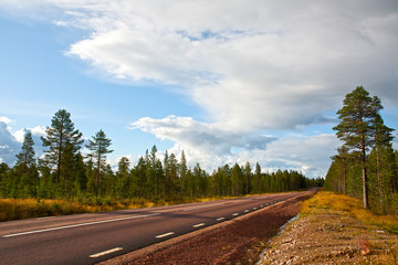 The road leaving afar
