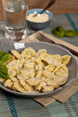 Tortellini Alfredo. Selective focus