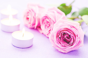 Fototapeta na wymiar pink rose with candles