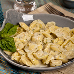 Creamy Tortellini Alfredo. Selective focus.