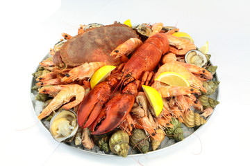 plateau de fruits de mer
