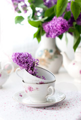 Obraz na płótnie Canvas Bouquet of lilac flower