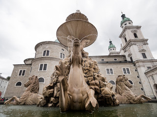 Horses in Salzburg