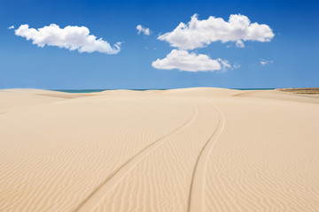 Fototapeta na wymiar Wheel print in sand dunes of santa monica beach - Praia de Santa