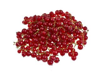 Red Currant