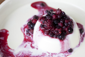 Mixed berries panacotta