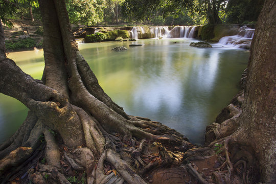 beautiful tree root foreground and waterfalls in pure deep fores