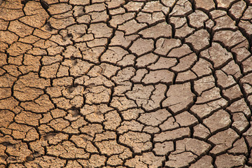 cracked soil and pond in Sampanbok , in Mekong River, Ubon Ratch