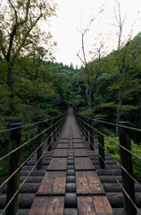 Shiomi Falls Suspension Bridge