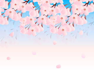 桜　花　背景