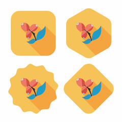 coffee fruit flat icon with long shadow,eps10