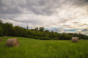 hay bale in the fields of italy