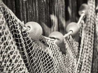 fishing net