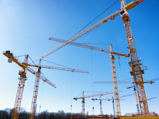 cranes