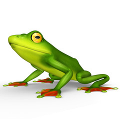 Fototapeta na wymiar Frog