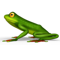 Frog