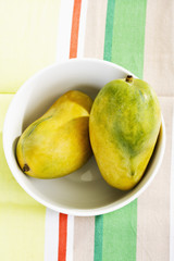 Mango (Mangifera indica) aus Pakistan