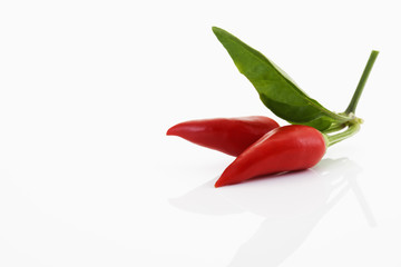 Rote Peperoni mit Blättchen
