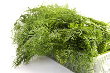 Dill (Anethum graveolens)