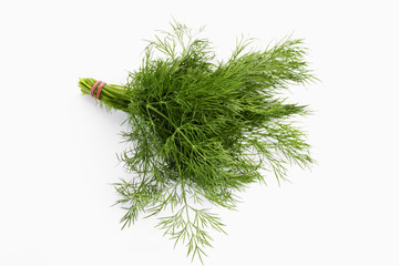Ein Bund Dill (Anethum graveolens),