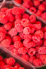 Baskets Full Of Raspberries On The Farmers Market