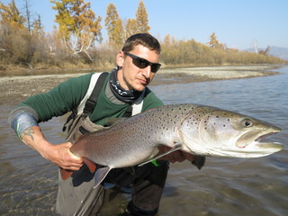 Taimen fishing in Mongolia
