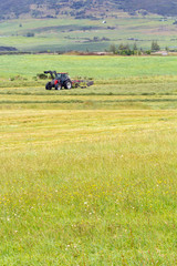 Fototapeta premium campagne