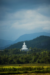 White buddha on the hill