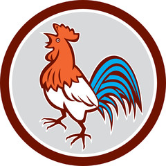 Chicken Rooster Crowing Looking Up Circle Retro