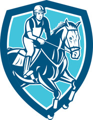 Equestrian Show Jumping Shield Retro