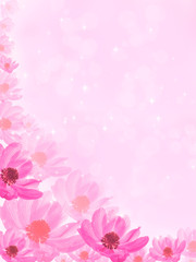 Fototapeta na wymiar fantastic pink background with flower anemone